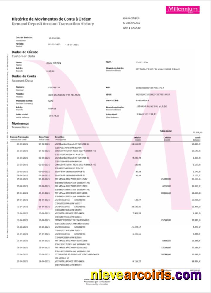 Poland Millennium bank statement Word and PDF